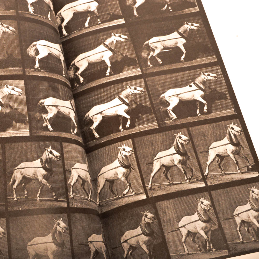 Eadweard Muybridge's "Complete Human and Animal Locomotion" Three Volume Set