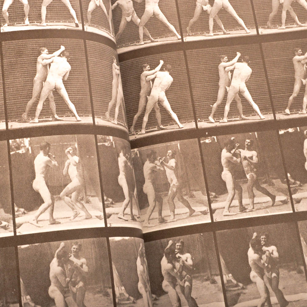 Eadweard Muybridge's "Complete Human and Animal Locomotion" Three Volume Set