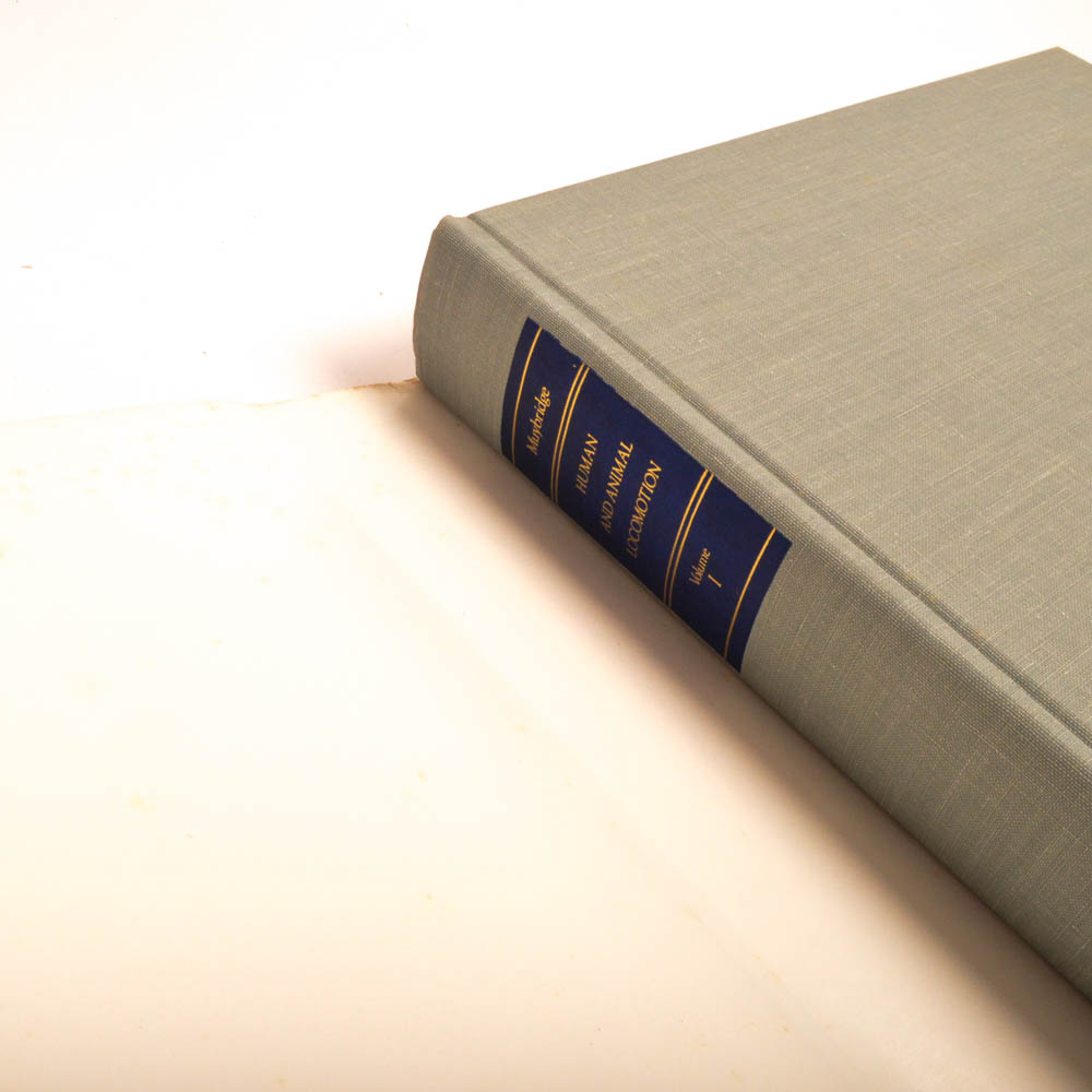 Eadweard Muybridge's "Complete Human and Animal Locomotion" Three Volume Set