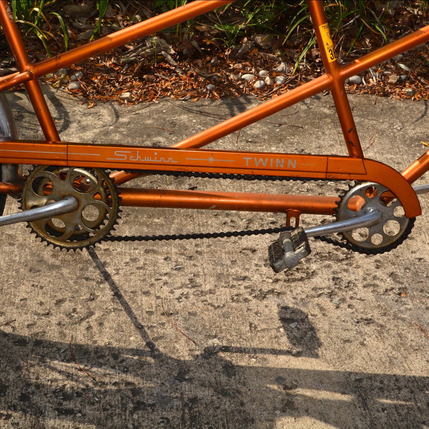 Vintage Schwinn "Twinn" Bicycle For Two