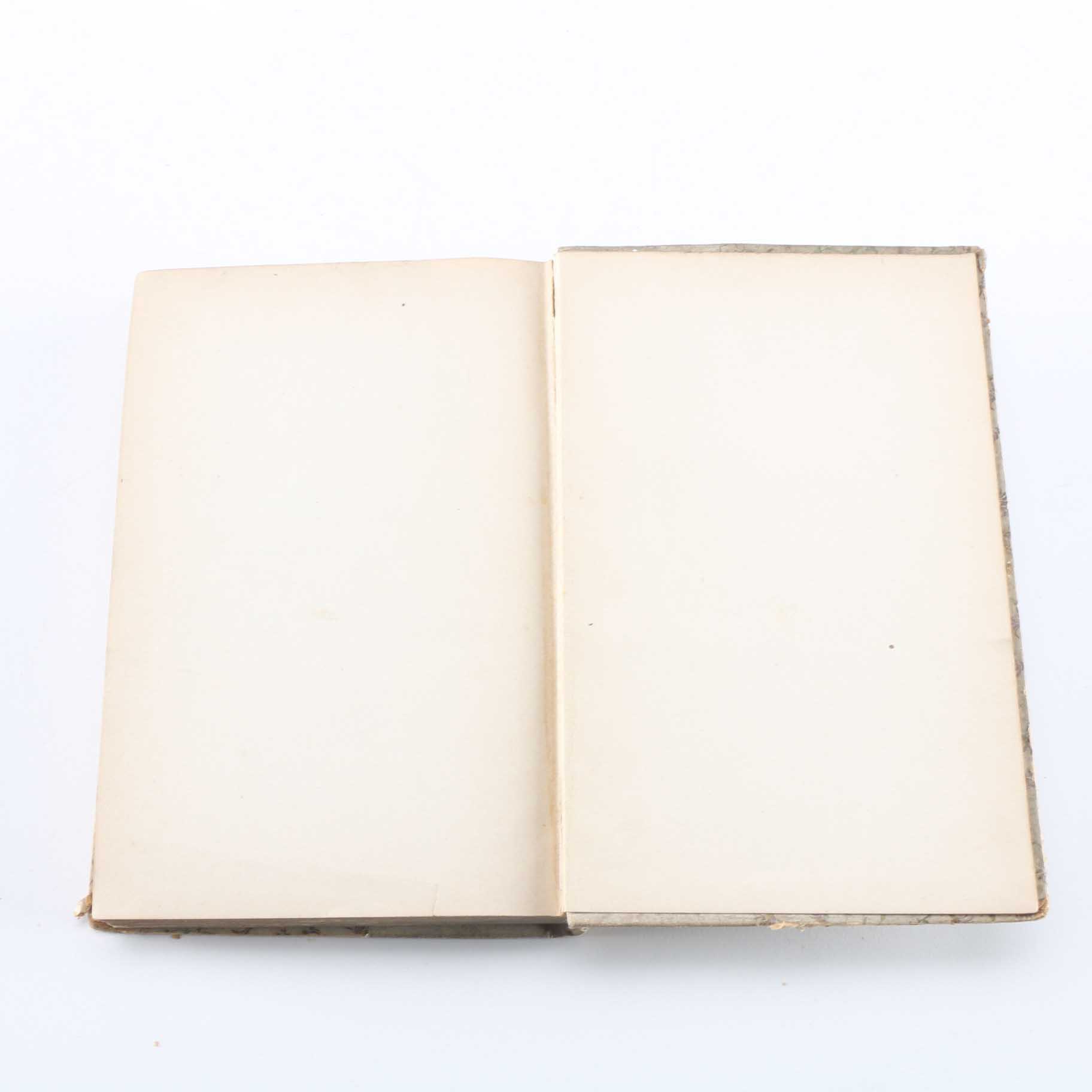 Antique Copy of Owen Meredith's "Lucile"