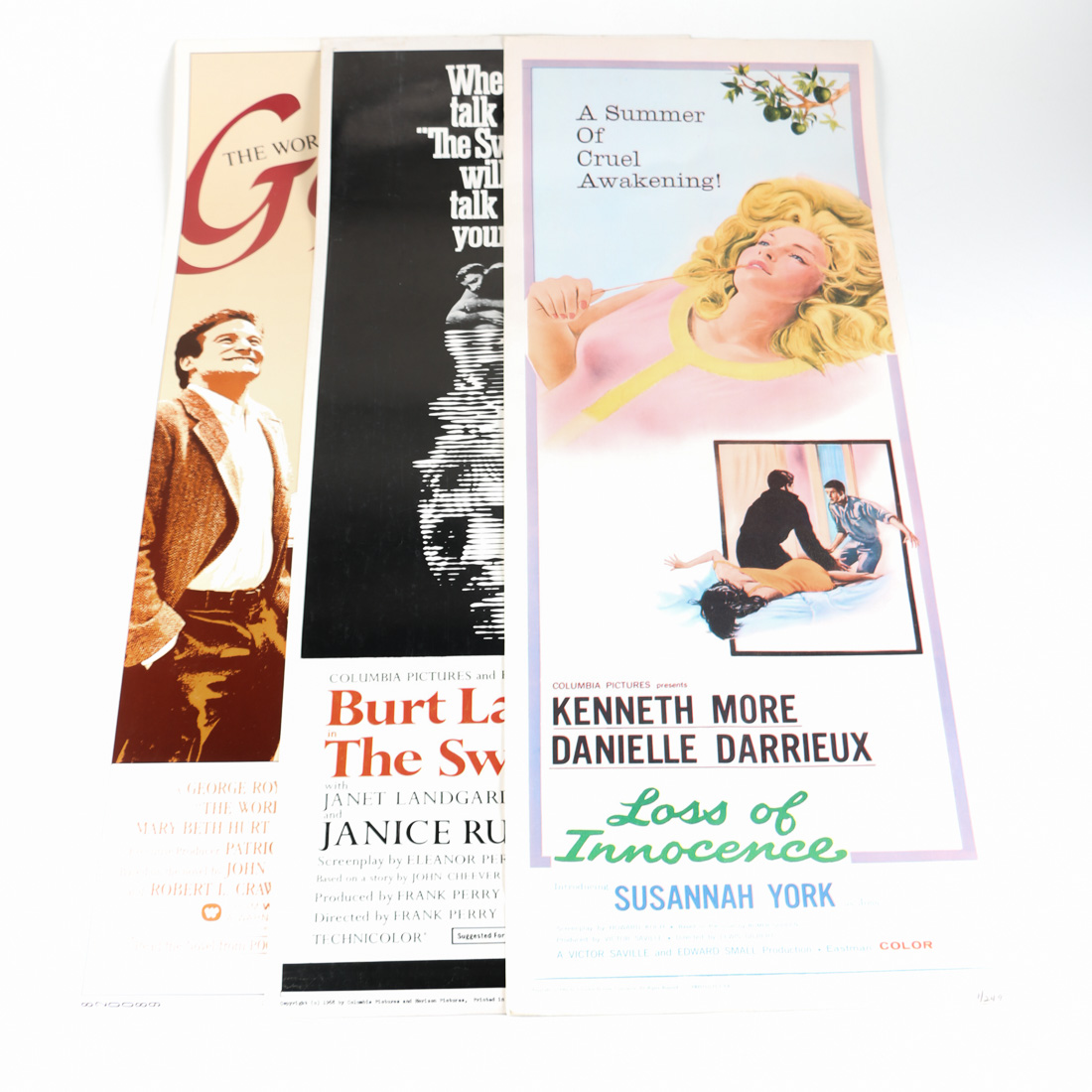 Vintage Movie Posters featuring "The World According to Garp"