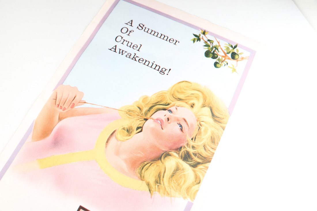 Vintage Movie Posters featuring "The World According to Garp"