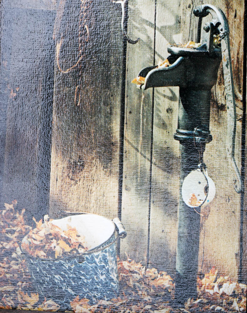 Art Gore Still Life Photographic Lithographs