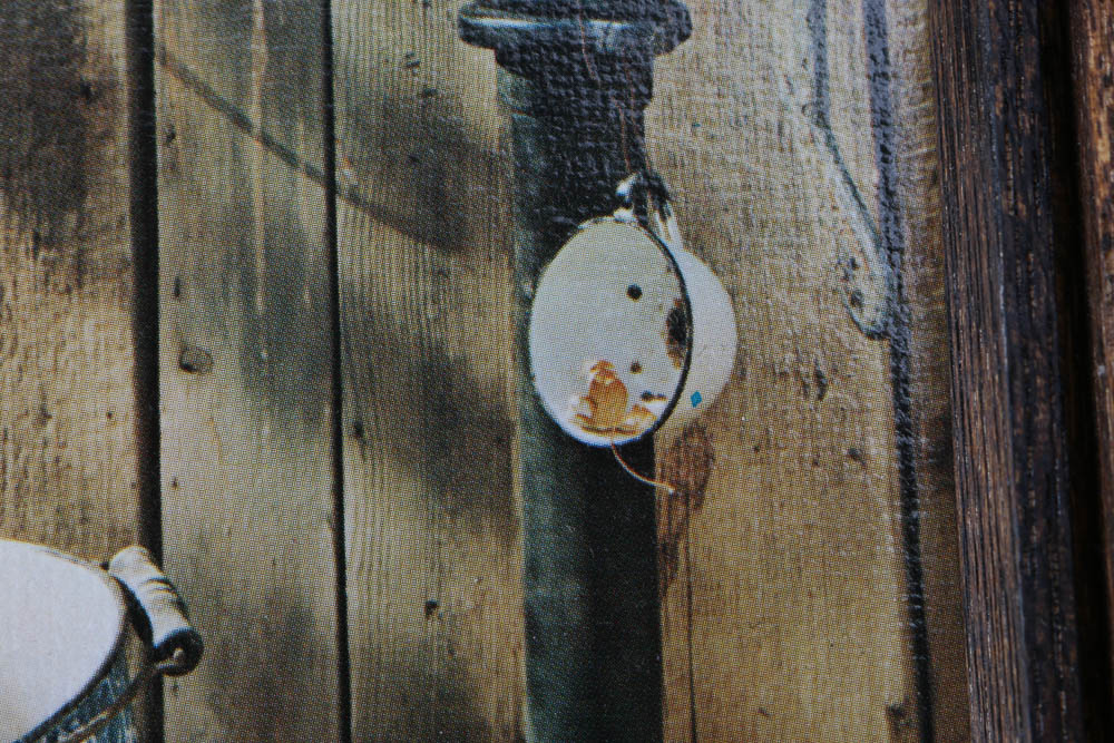 Art Gore Still Life Photographic Lithographs