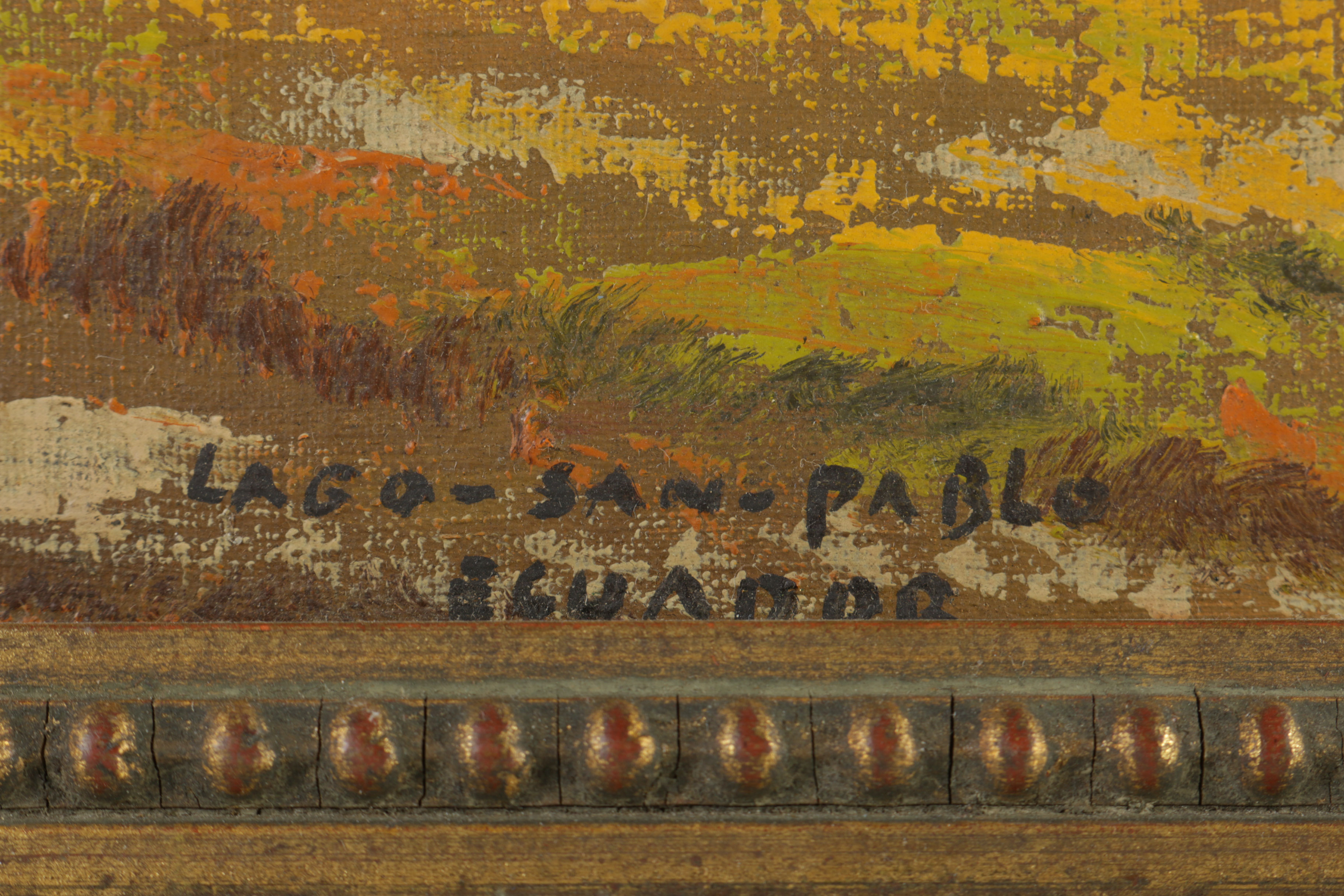 Gonzalo Endara Crow Original Oil Painting "Lake - San Pablo - Ecuador"