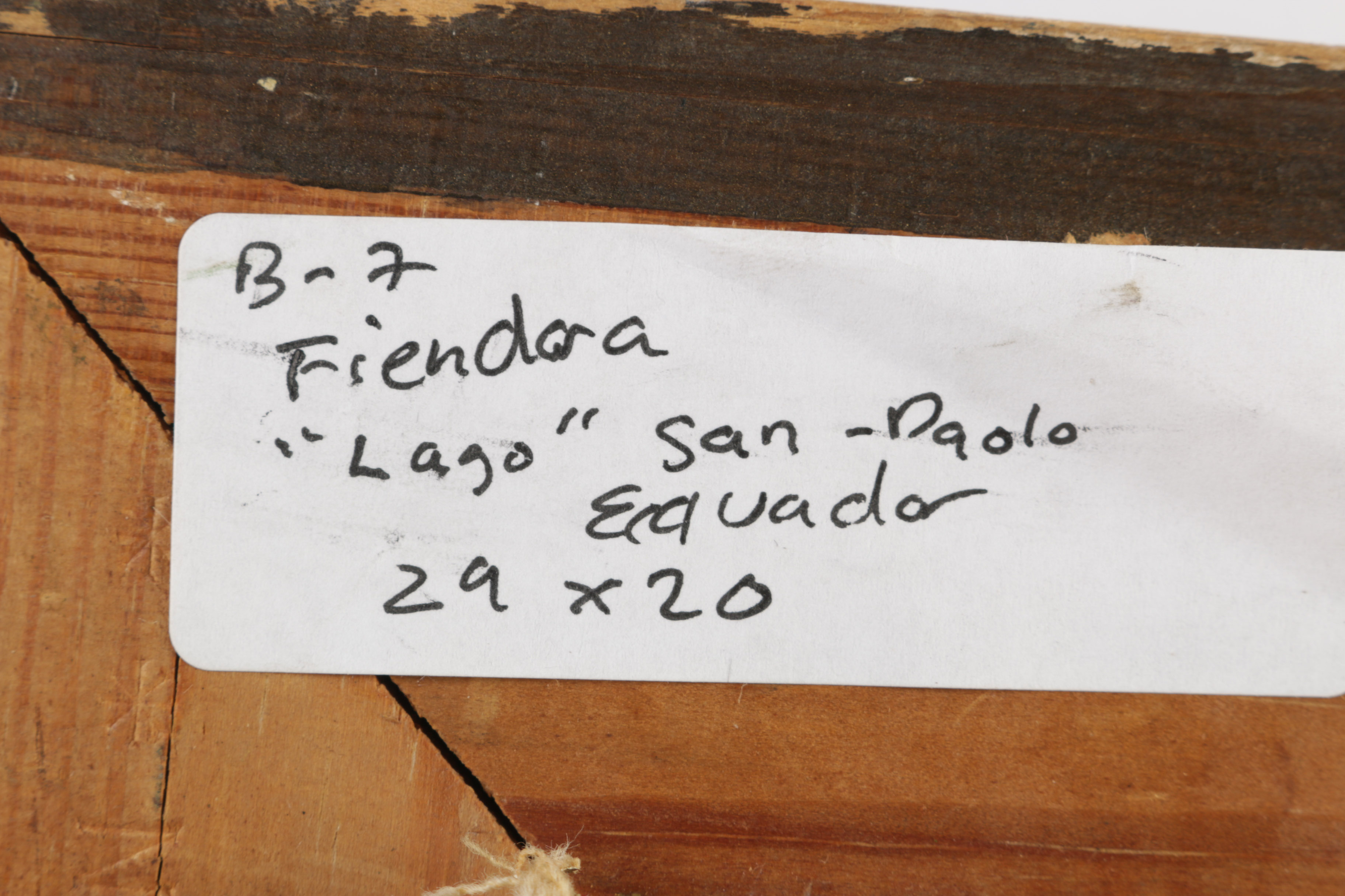 Gonzalo Endara Crow Original Oil Painting "Lake - San Pablo - Ecuador"