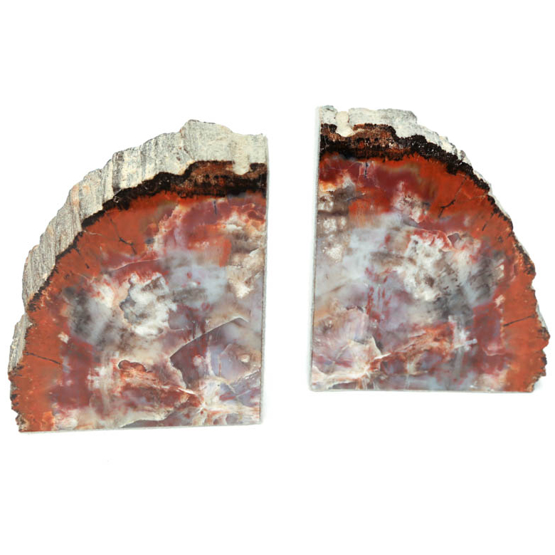 Petrified Wood Bookends