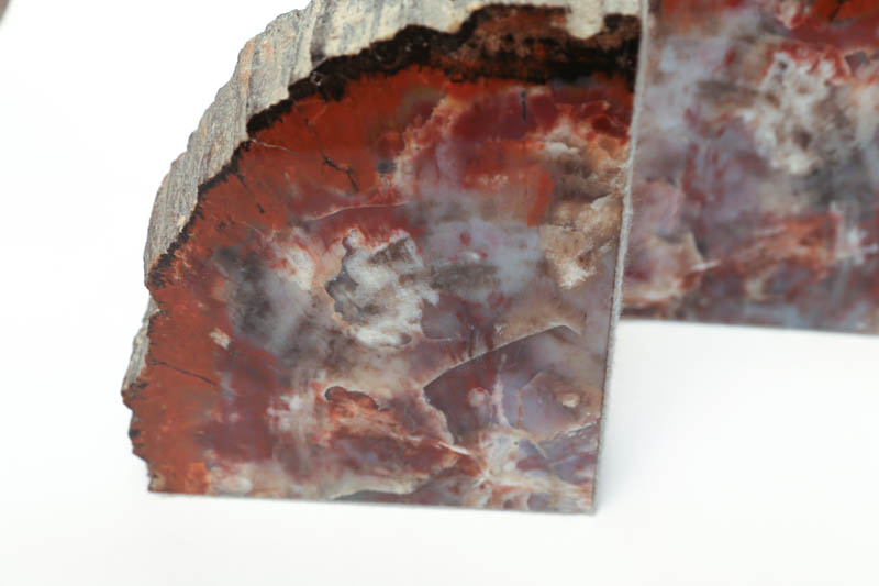 Petrified Wood Bookends