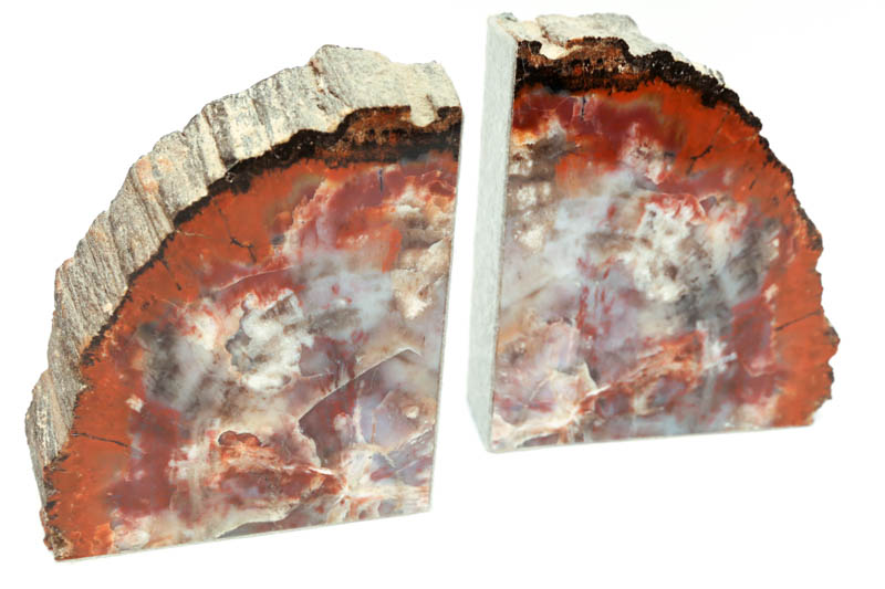 Petrified Wood Bookends