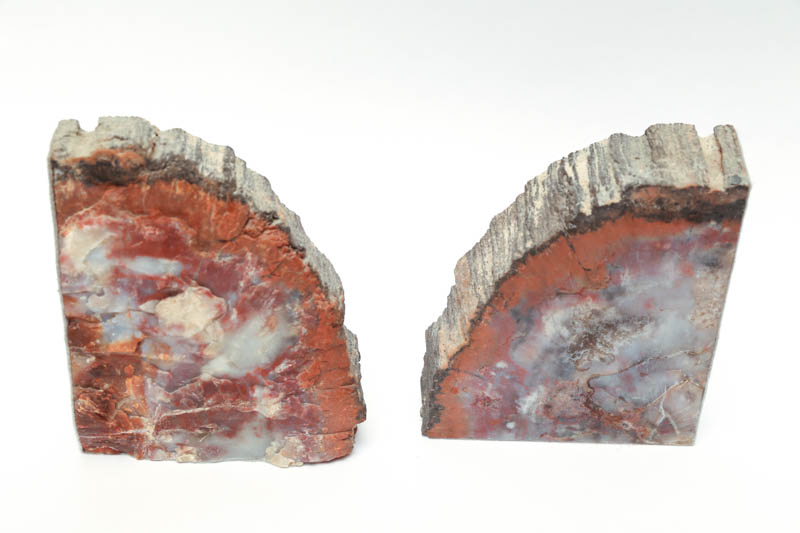 Petrified Wood Bookends