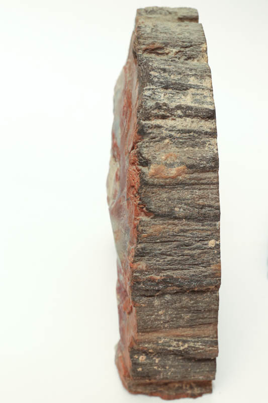 Petrified Wood Bookends
