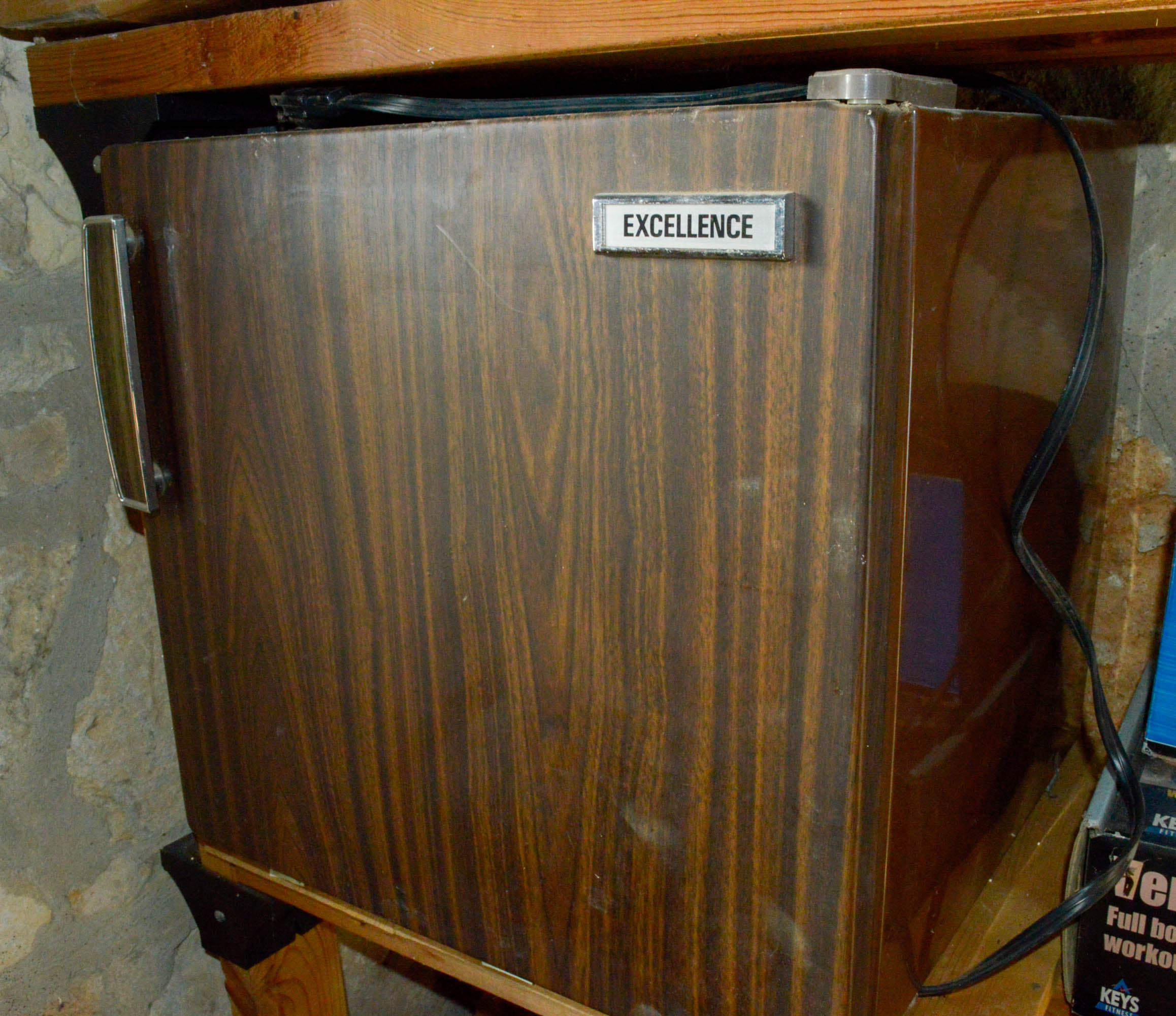 Excellence Mini Refrigerator