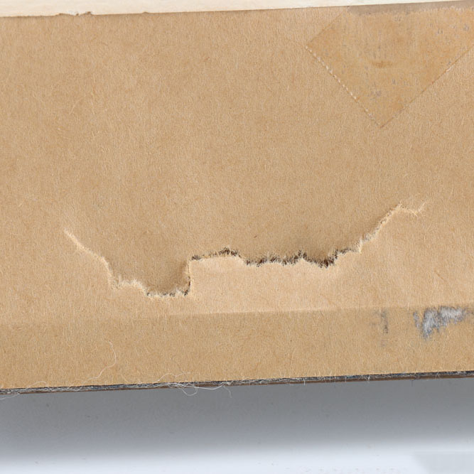 Charles Burdick Signed Original Drawing "Leda and The Swan"