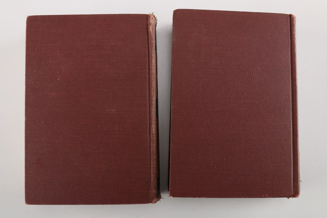 1868 Eighteen Volumes of Charles Dickens' Works Cleartype Edition