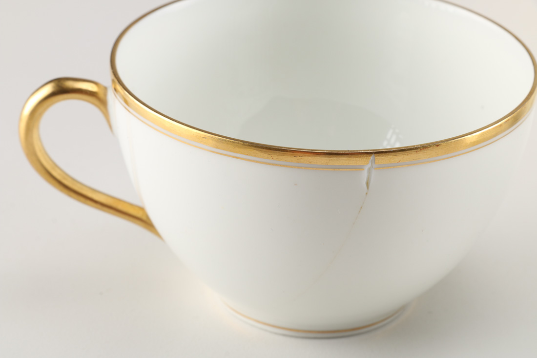 Haviland for Chas. Mayer & Co. China