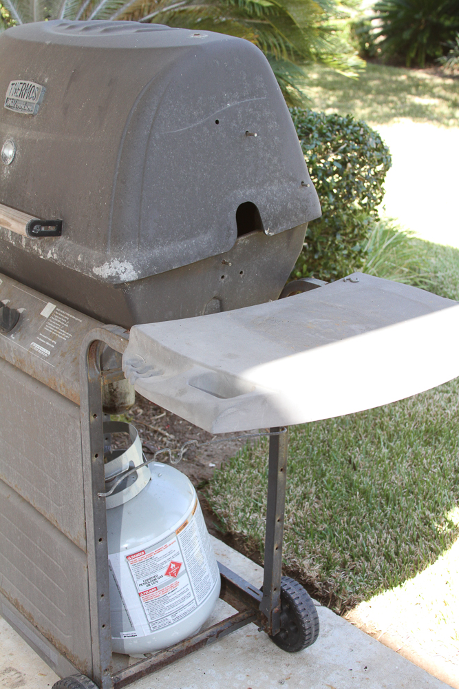 Thermos Millennium Gas Grill and Propane Tank