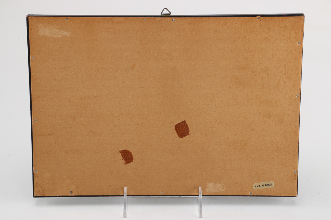 Framed Butterfly Collection