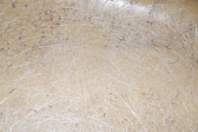 Eames Shell Chair for Herman Miller