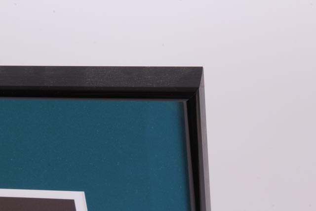 Charley Harper Limited Edition Signed Giclee