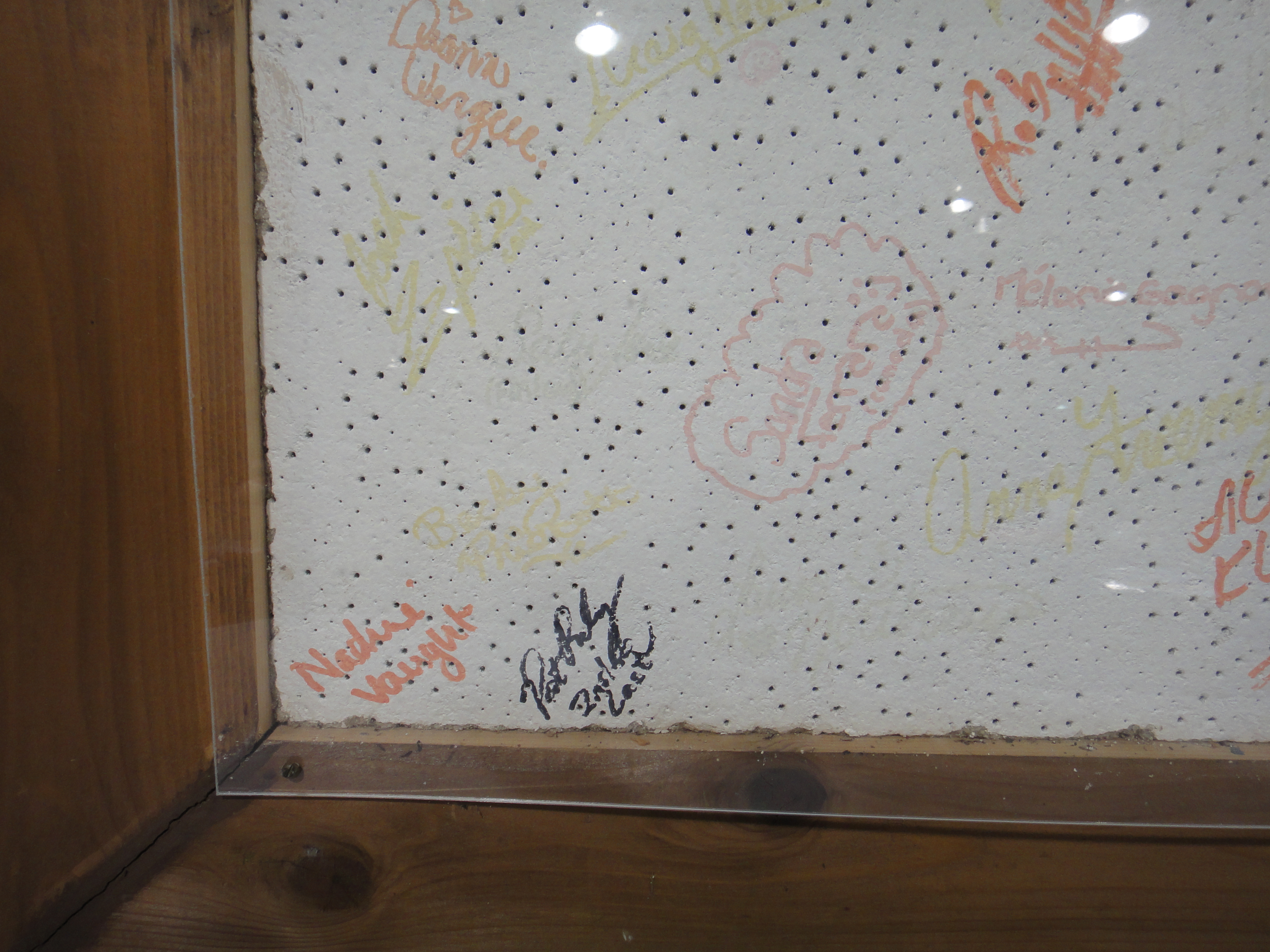 Walt Disney's World on Ice "Toy Story" Autographed Tile