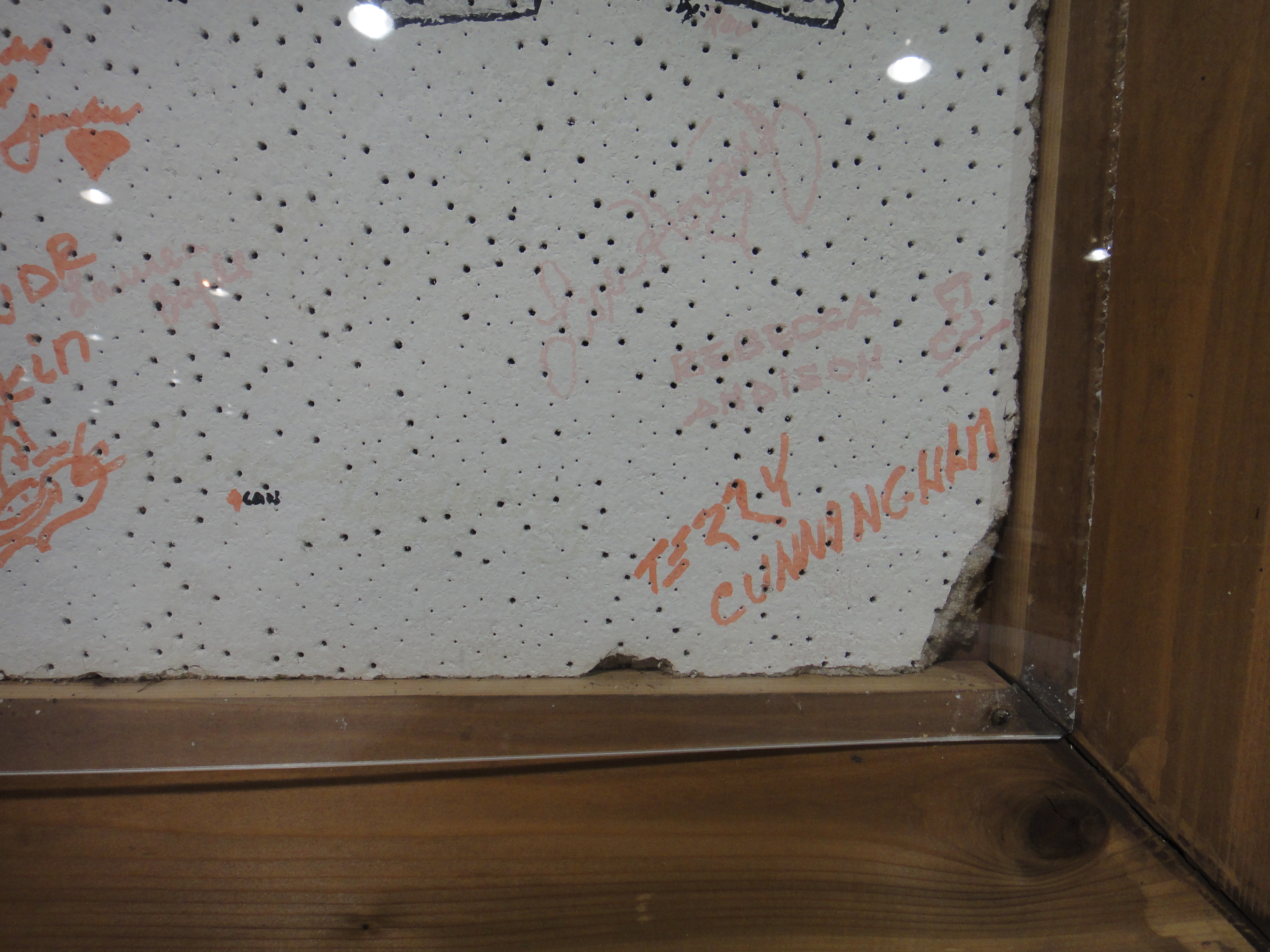 Walt Disney's World on Ice "Toy Story" Autographed Tile