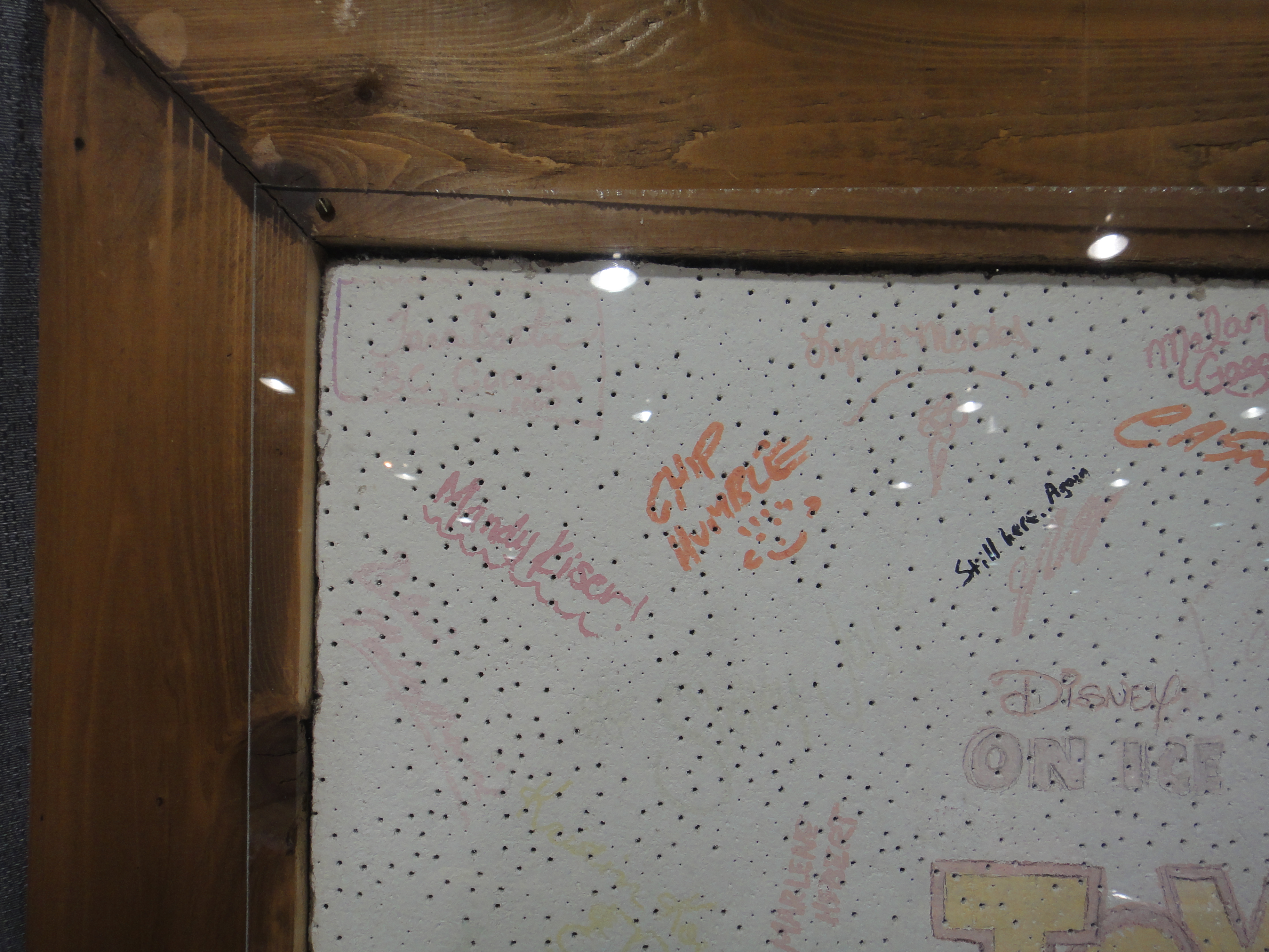 Walt Disney's World on Ice "Toy Story" Autographed Tile