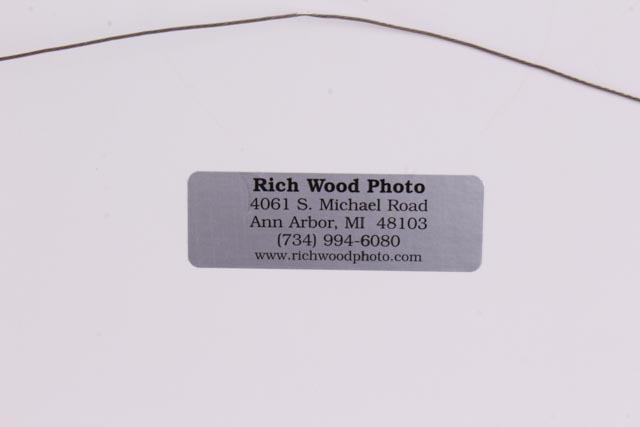 Rich Wood Limited Edition Signed Photograph "Detroit E. Market"