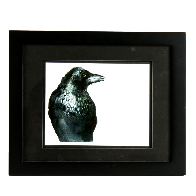 Signed Amber Alexander Watercolor Depiction of a Raven