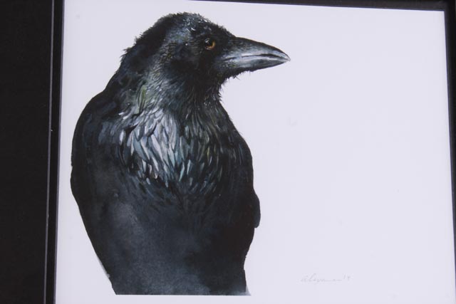 Signed Amber Alexander Watercolor Depiction of a Raven