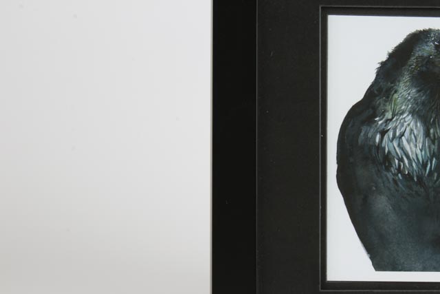 Signed Amber Alexander Watercolor Depiction of a Raven