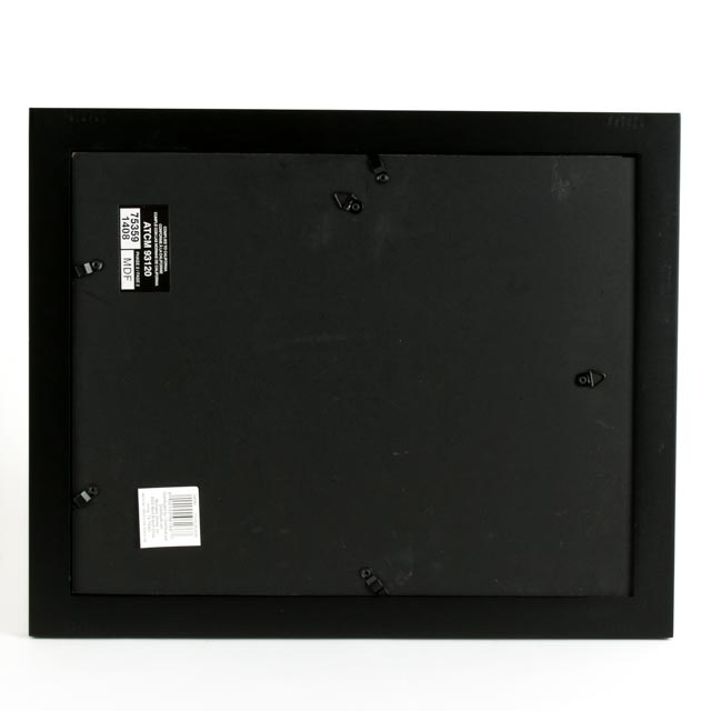 Signed Amber Alexander Watercolor Depiction of a Raven