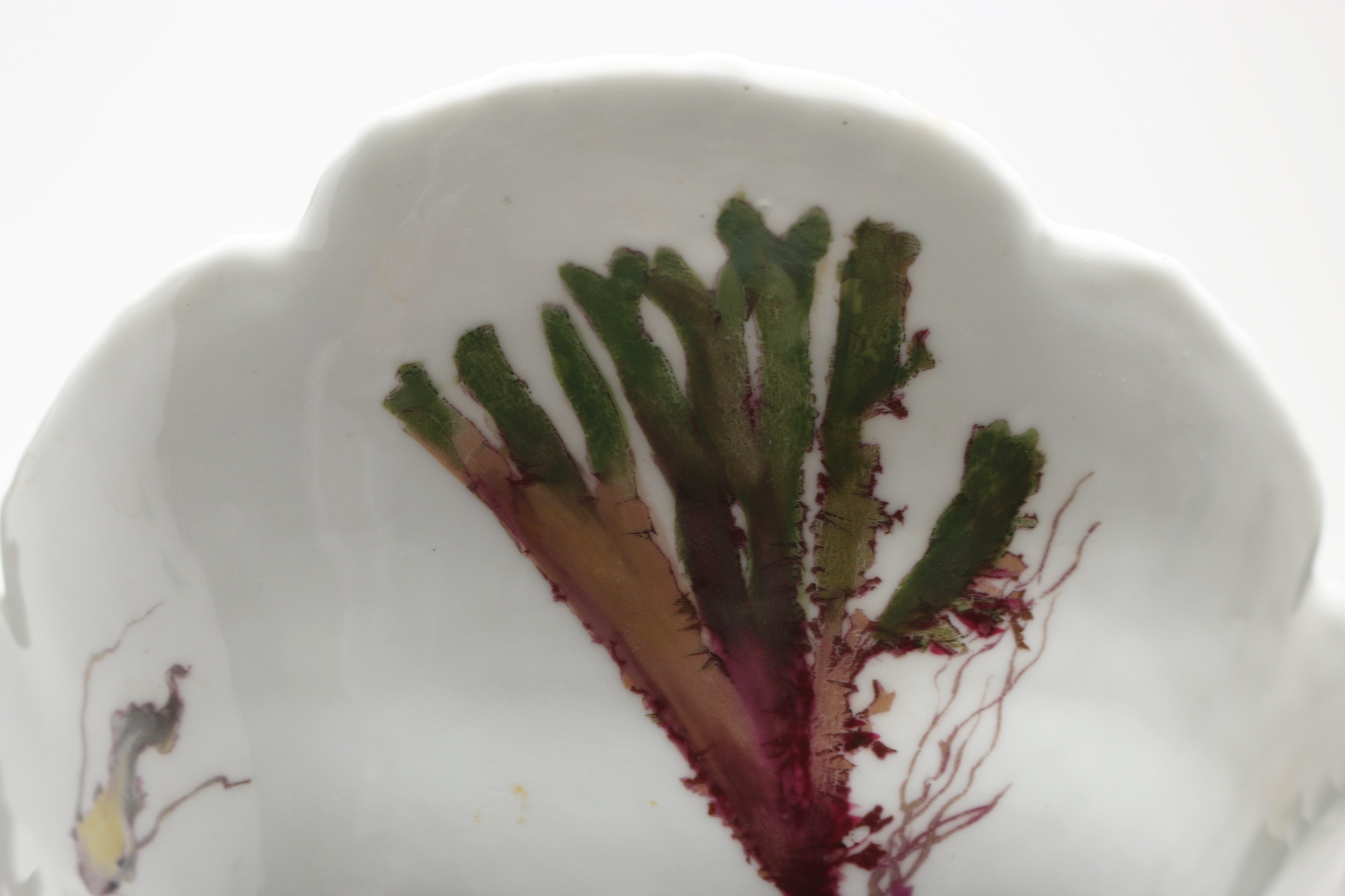 Pair of Shell Serving Dishes