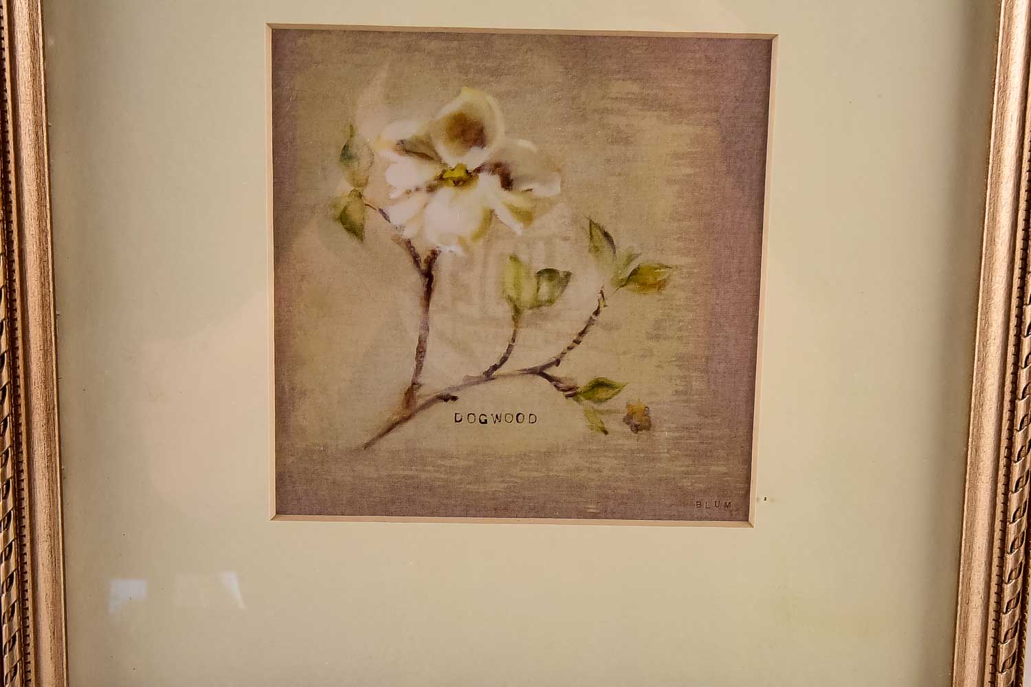 Cheri Blum Art Print Collection