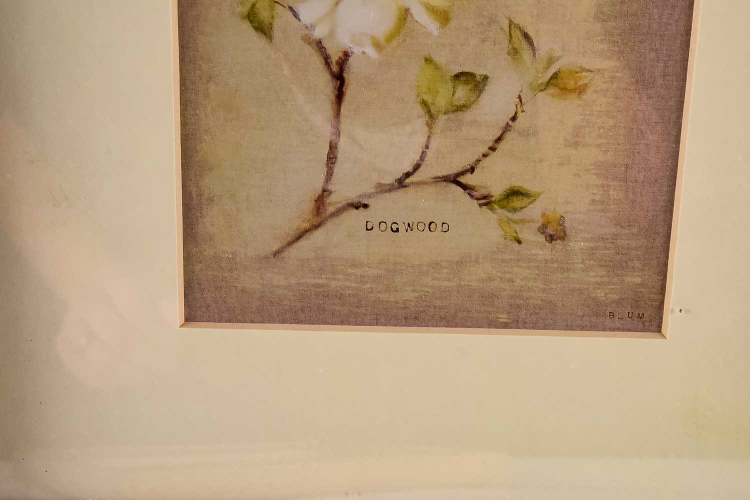 Cheri Blum Art Print Collection