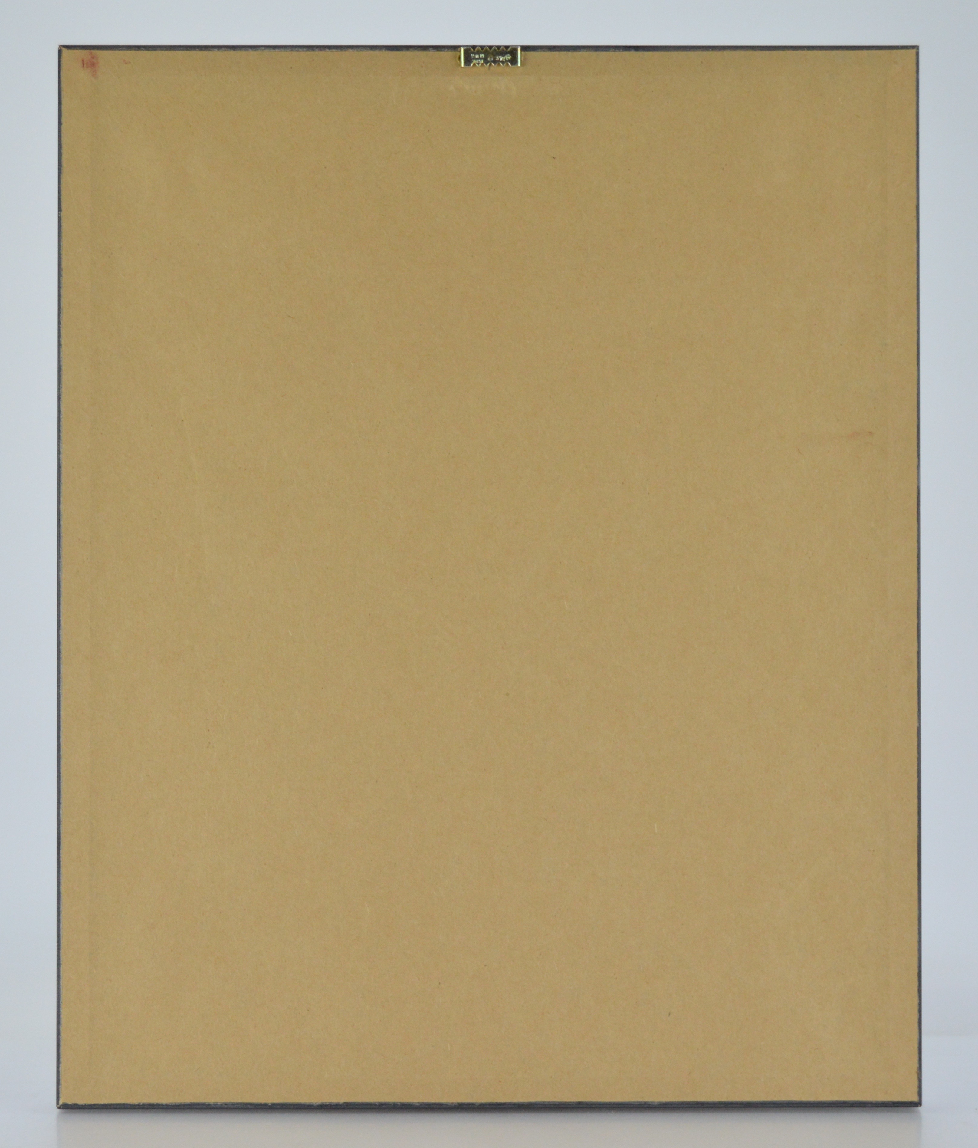 Framed Botanical Offset Lithograph of Camellia