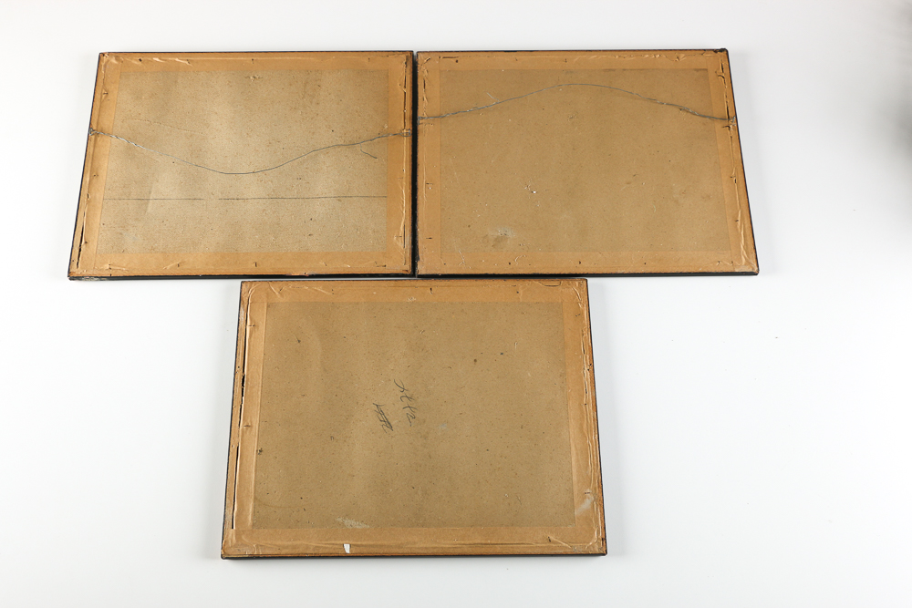 Paul Andrews Watercolors of Harvard University