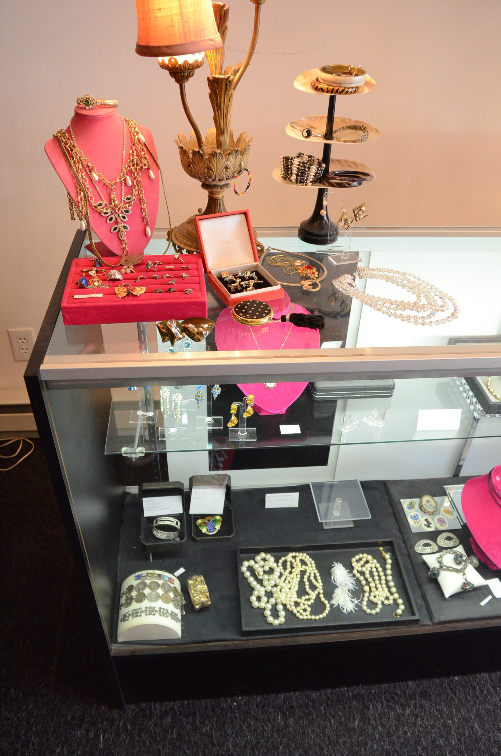 Glass Front Display Case