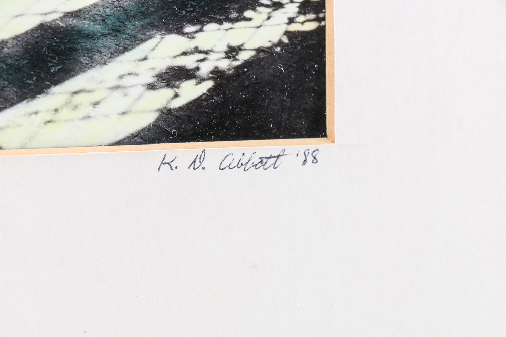 Karen D. Abbott Framed Hand-colored Photograph