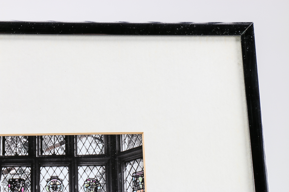 Karen D. Abbott Framed Hand-colored Photograph