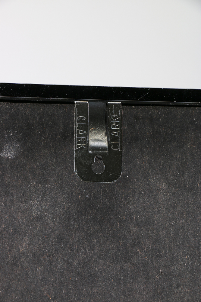 Karen D. Abbott Framed Hand-colored Photograph