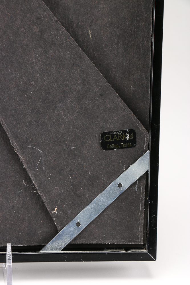 Karen D. Abbott Framed Hand-colored Photograph