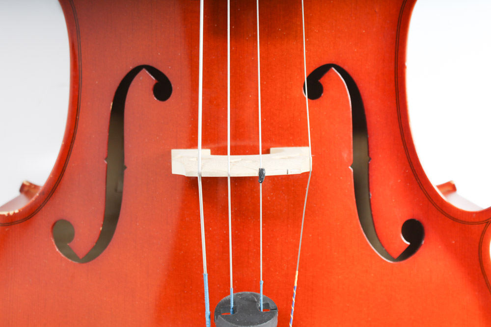 Scherl & Roth 3/4 Size Cello