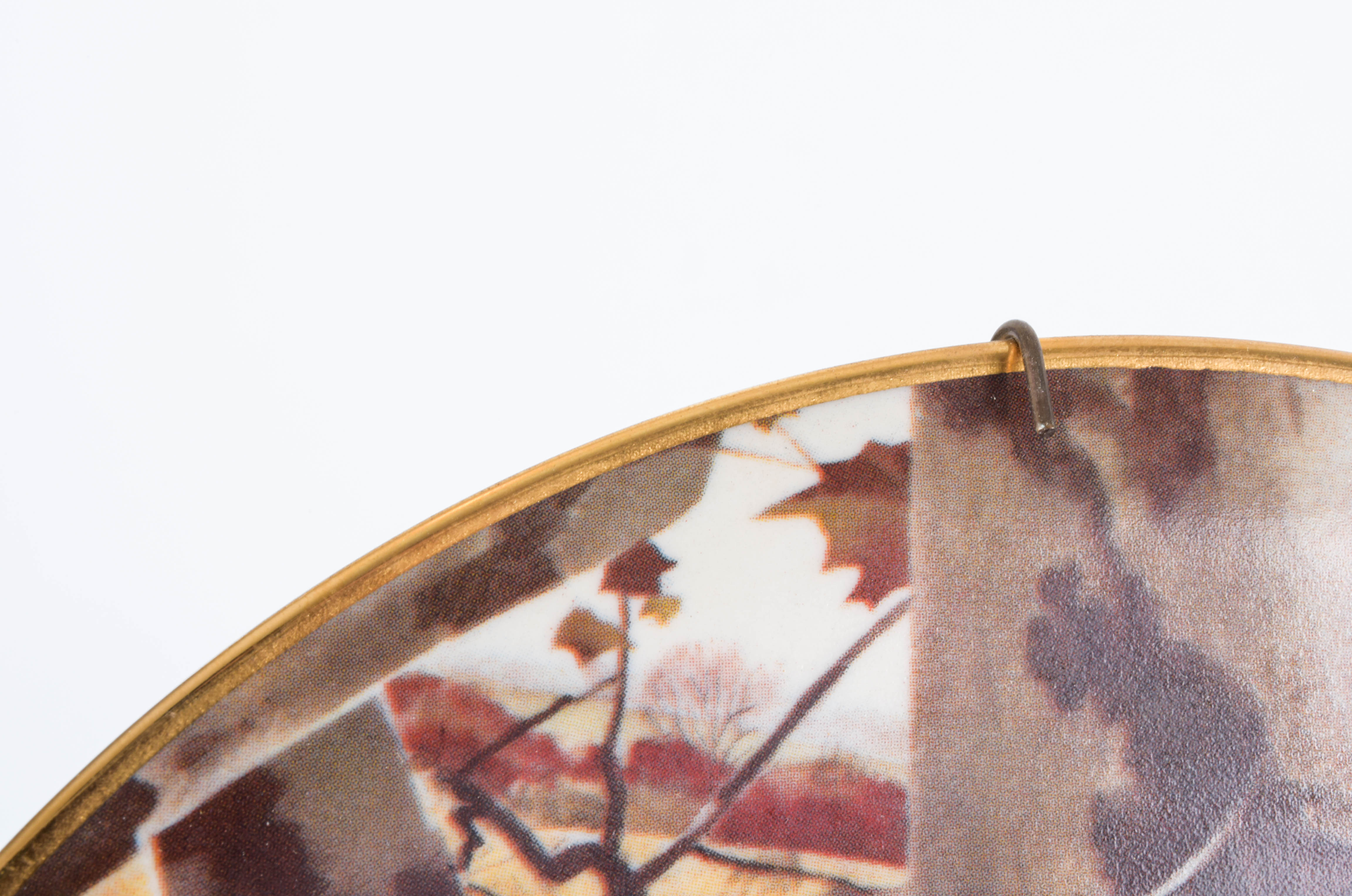 Andrew Wyeth Limited Edition Collector Plate "The Hunter"