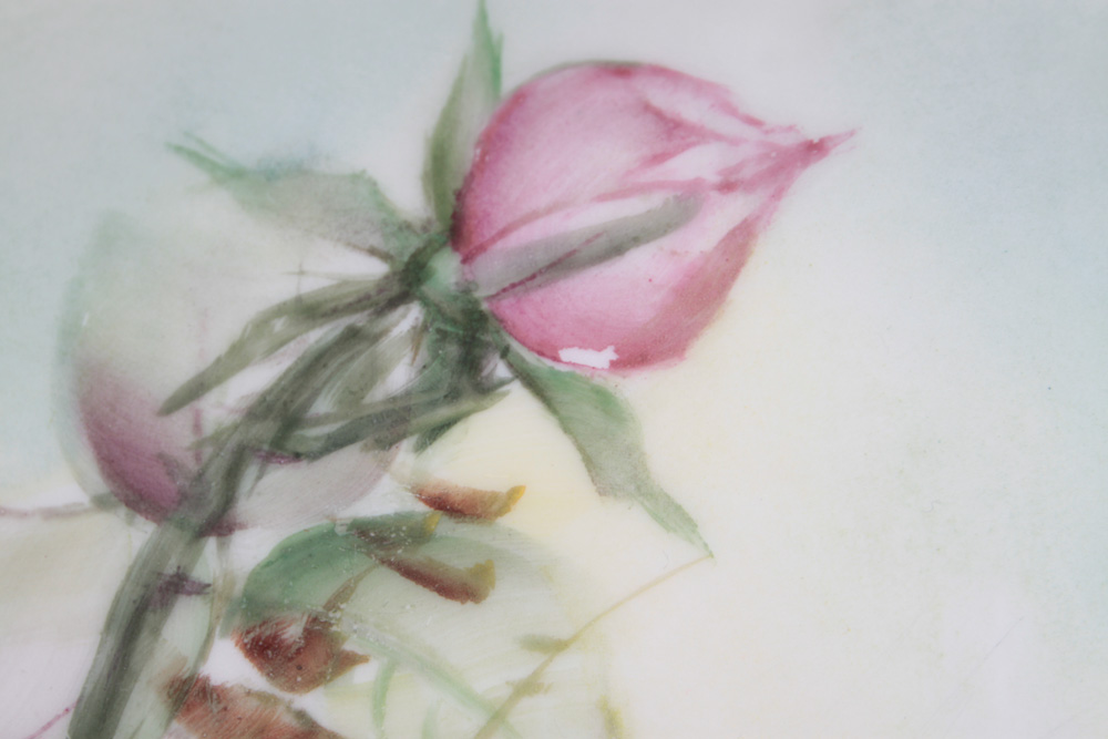 Haviland France Hand Painted Signed Porcelain Plate