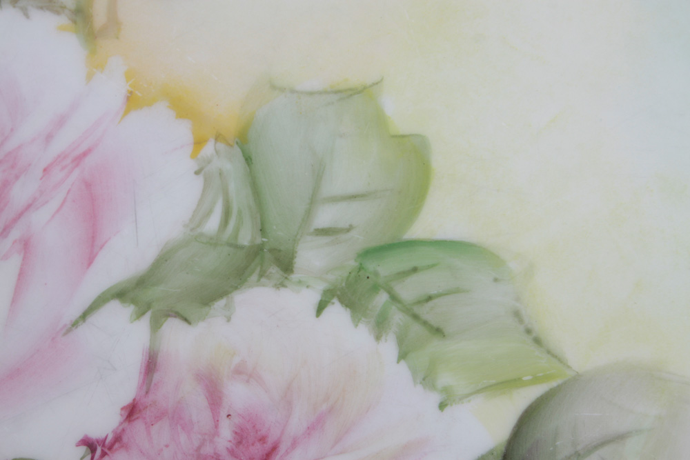 Haviland France Hand Painted Signed Porcelain Plate