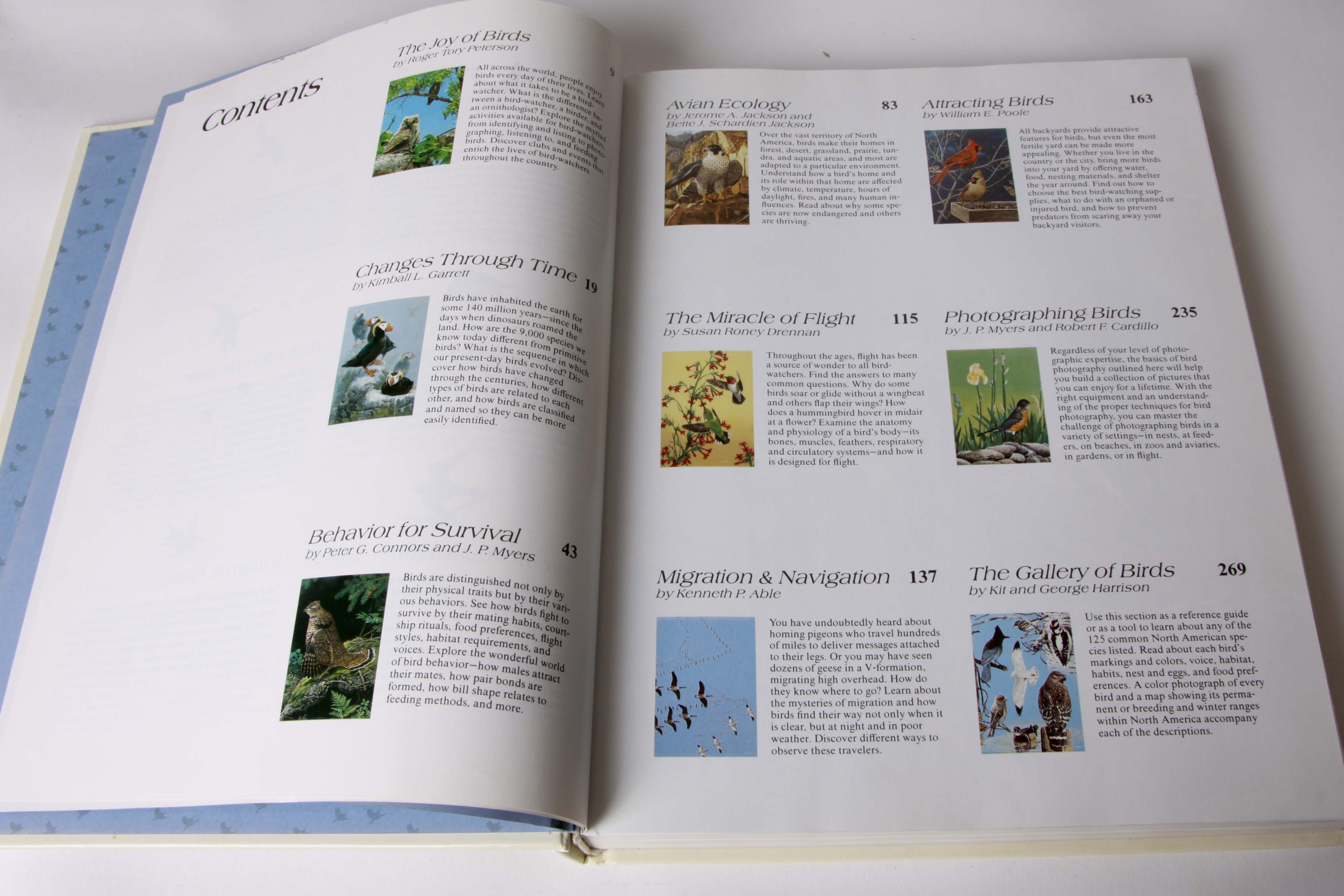 BIrd Figurine Assortment