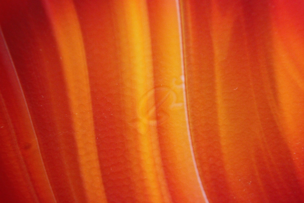 Assortment of Colored Glass Dishes