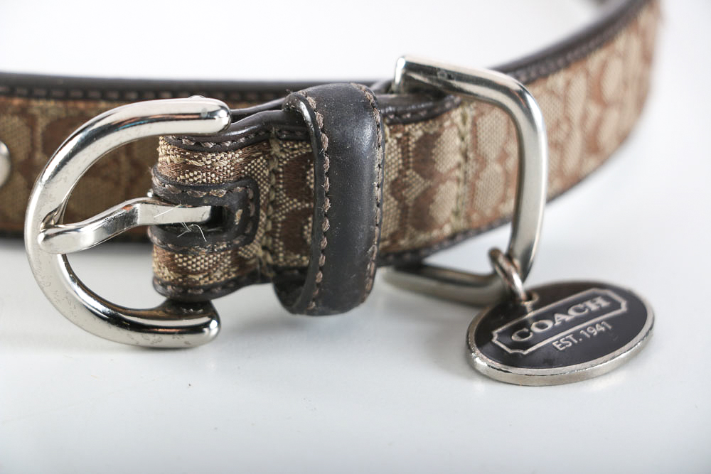 Coach Dog Collar