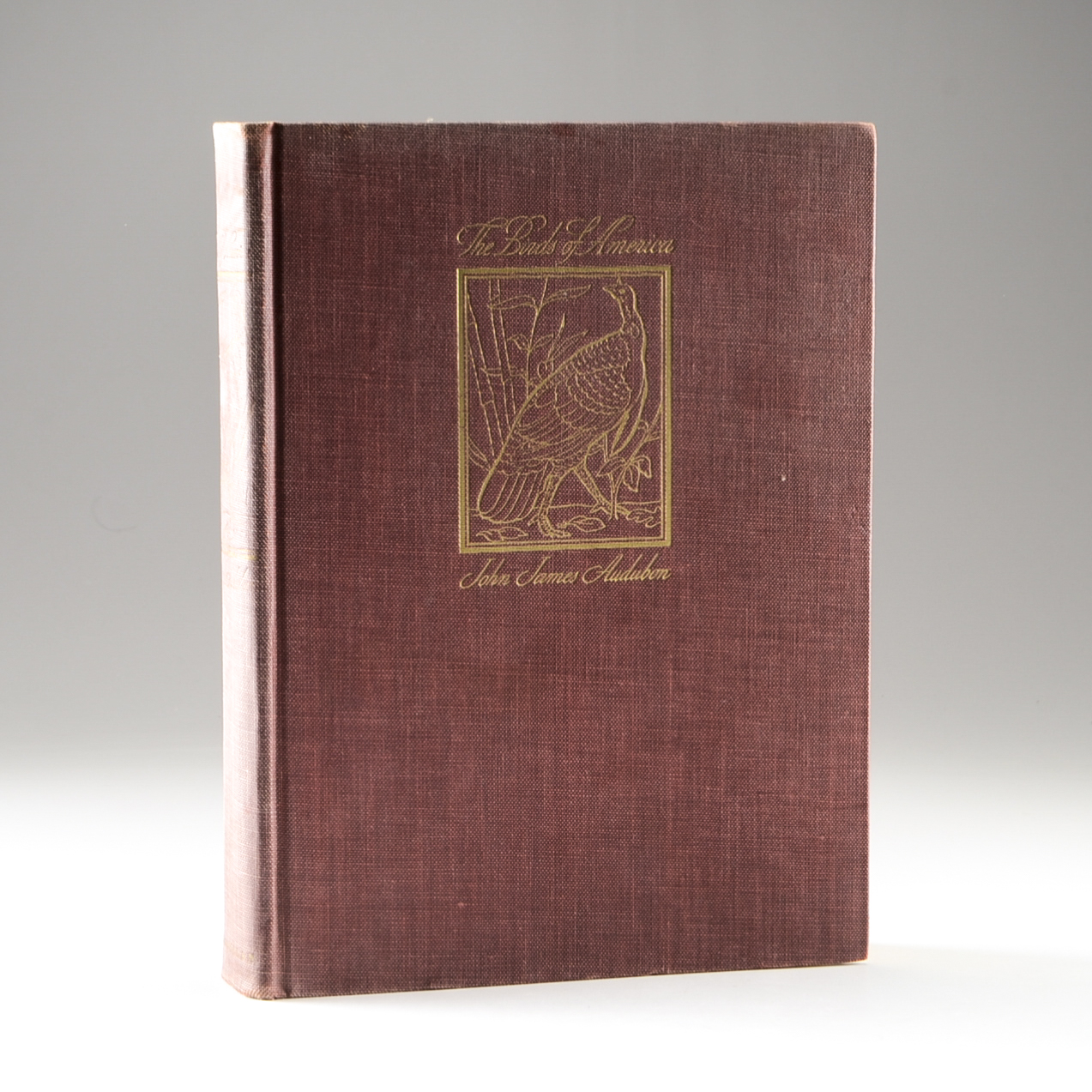 John James Audubon "The Birds of America" Signed by Aloyisus Audubon